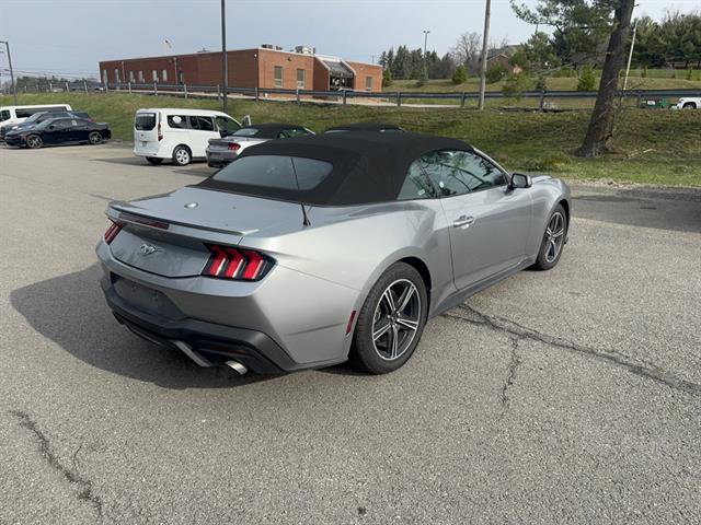 Used 2024 Ford Mustang Premium image 5