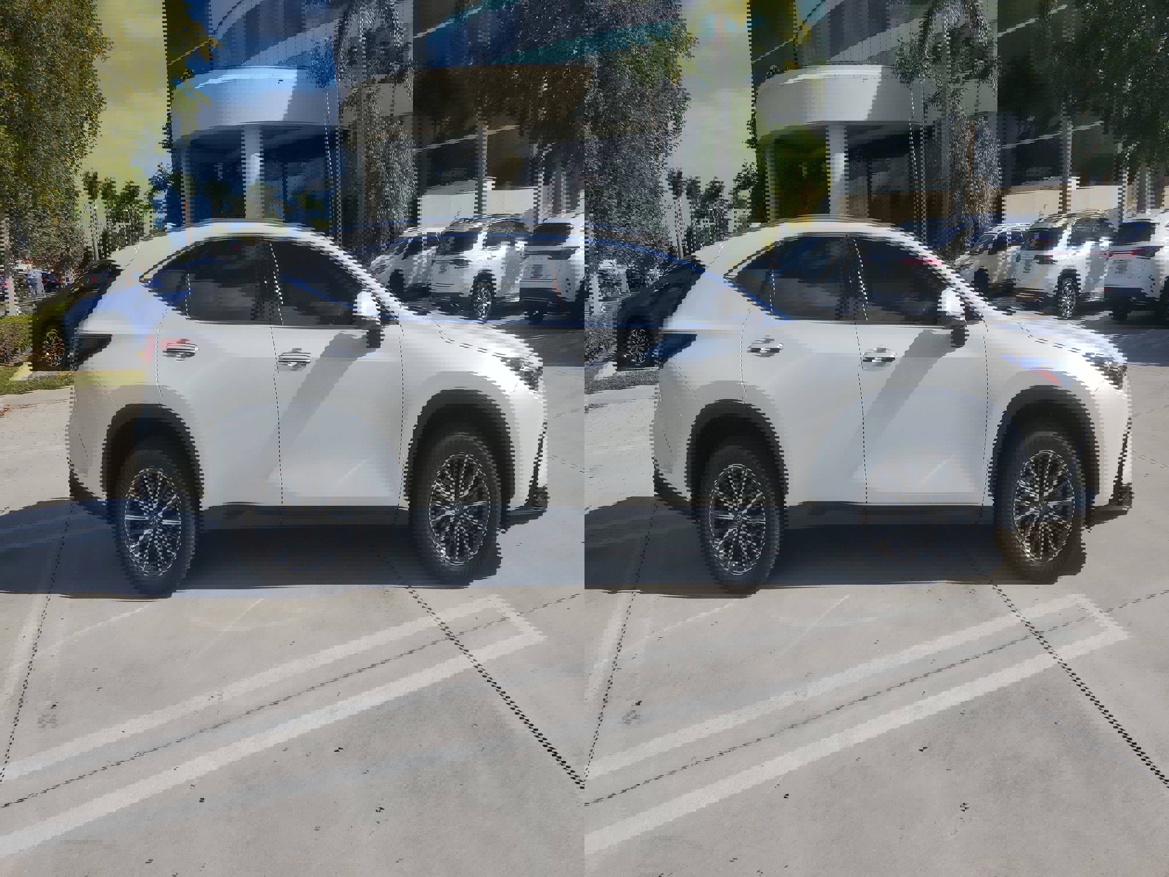 Used 2024 Lexus NX 250 NX 250 Premium image 10