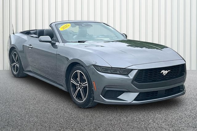 Used 2025 Ford Mustang Premium