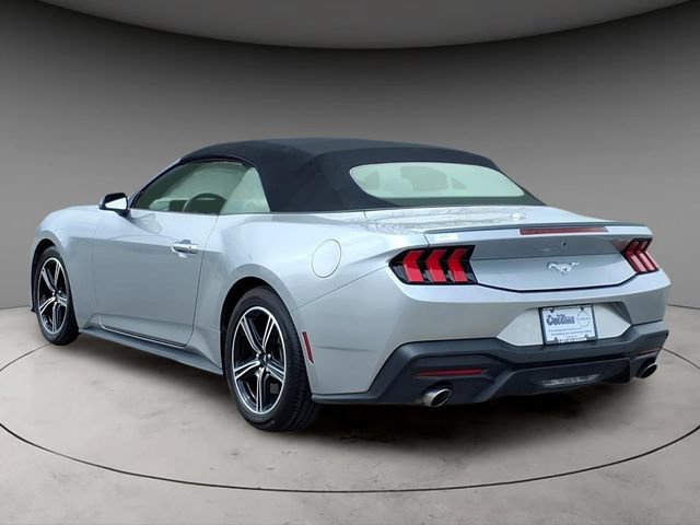 Used 2024 Ford Mustang Premium RWD image 3