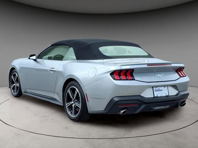Used 2024 Ford Mustang Premium image 3