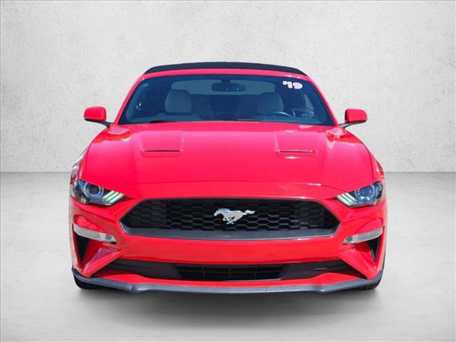 Used 2019 Ford Mustang Premium image 2