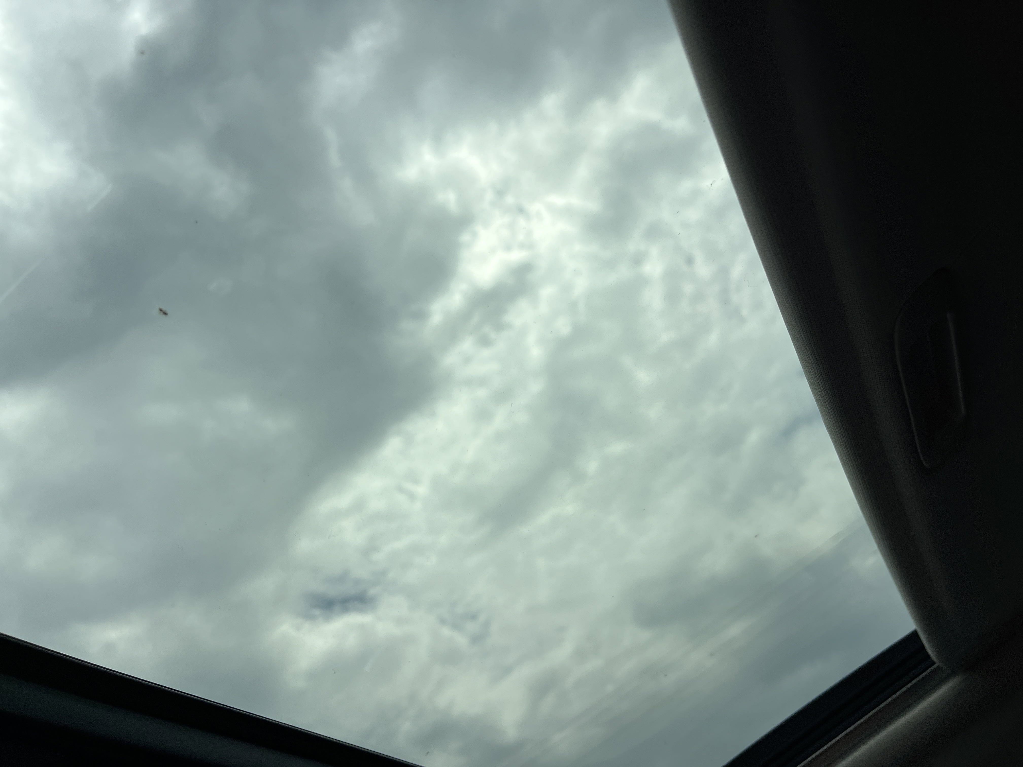 New 2026 Kia Carnival SX Prestige image 12