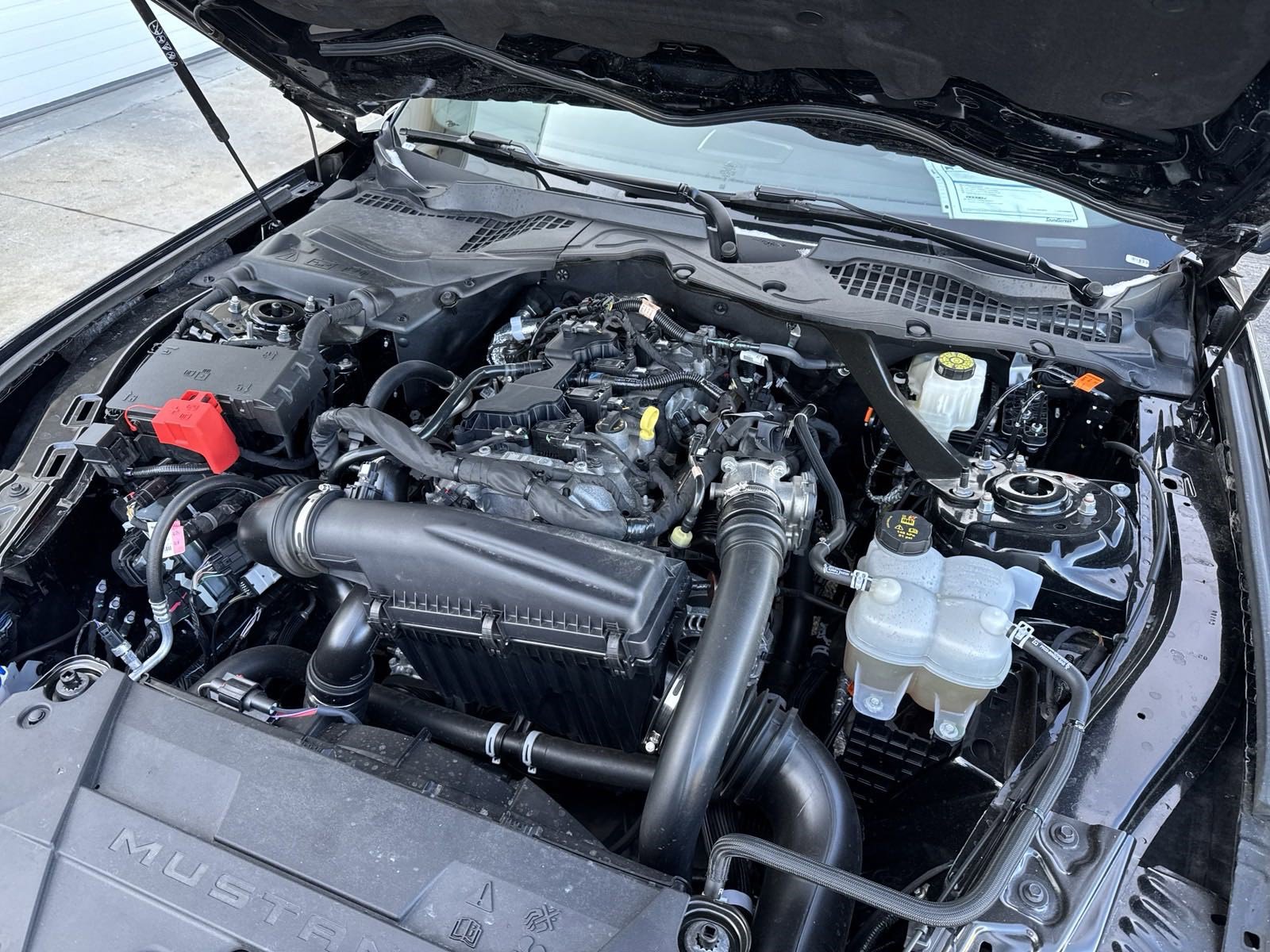 Certified 2024 Ford Mustang Premium image 57