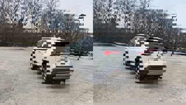 Used 2019 Toyota RAV4 Limited image 7