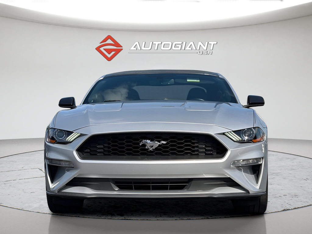 Used 2019 Ford Mustang Coupe RWD image 12