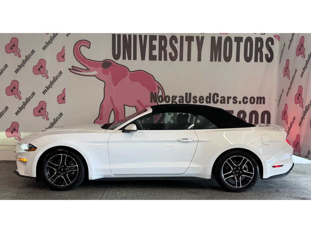 Used 2022 Ford Mustang Premium RWD image 9