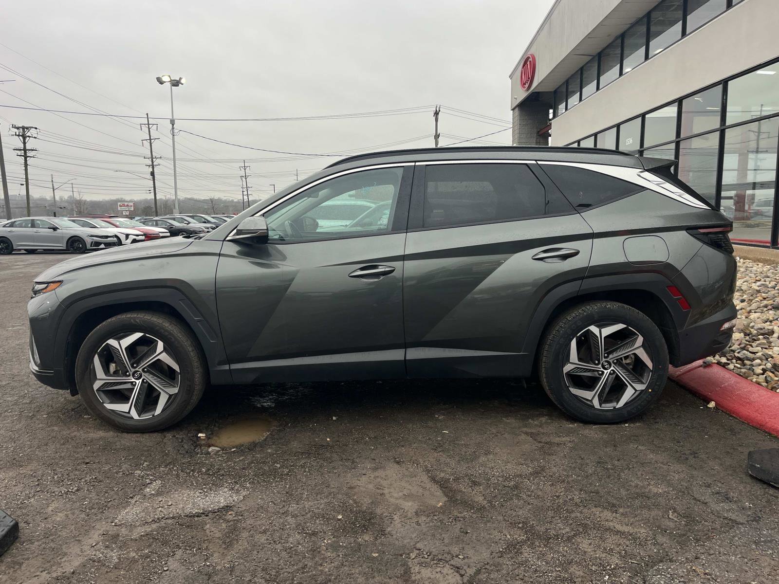 Used 2023 Hyundai Tucson Limited image 4