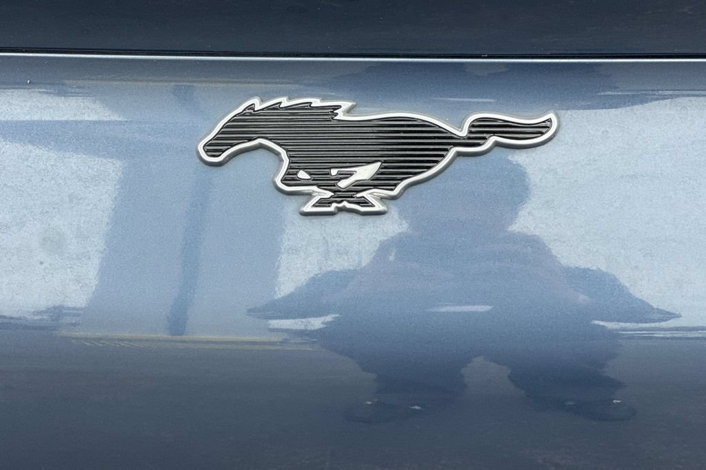 Certified 2021 Ford Mustang Mach-E California Route 1 RWD image 30