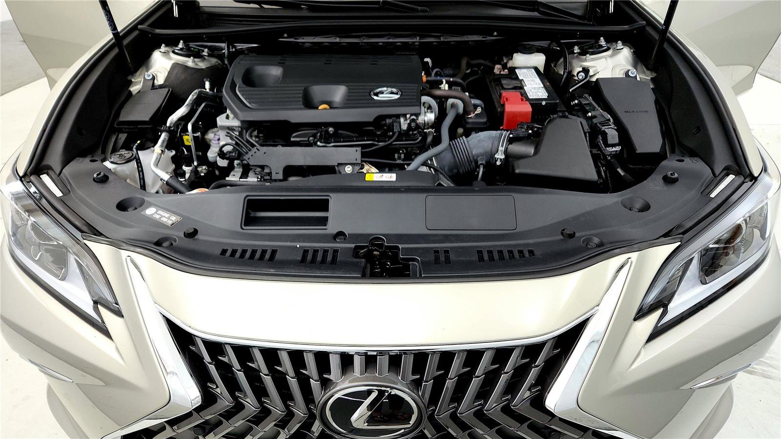 Used 2023 Lexus ES 250 w/ Premium Package image 15