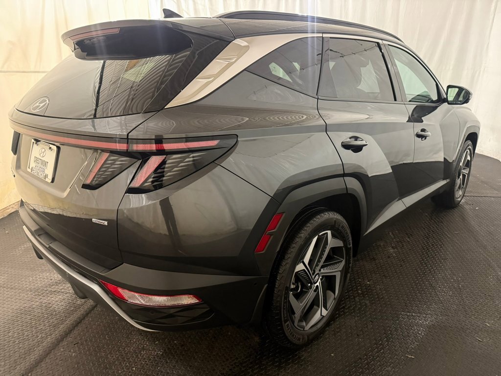 Used 2023 Hyundai Tucson Limited image 12