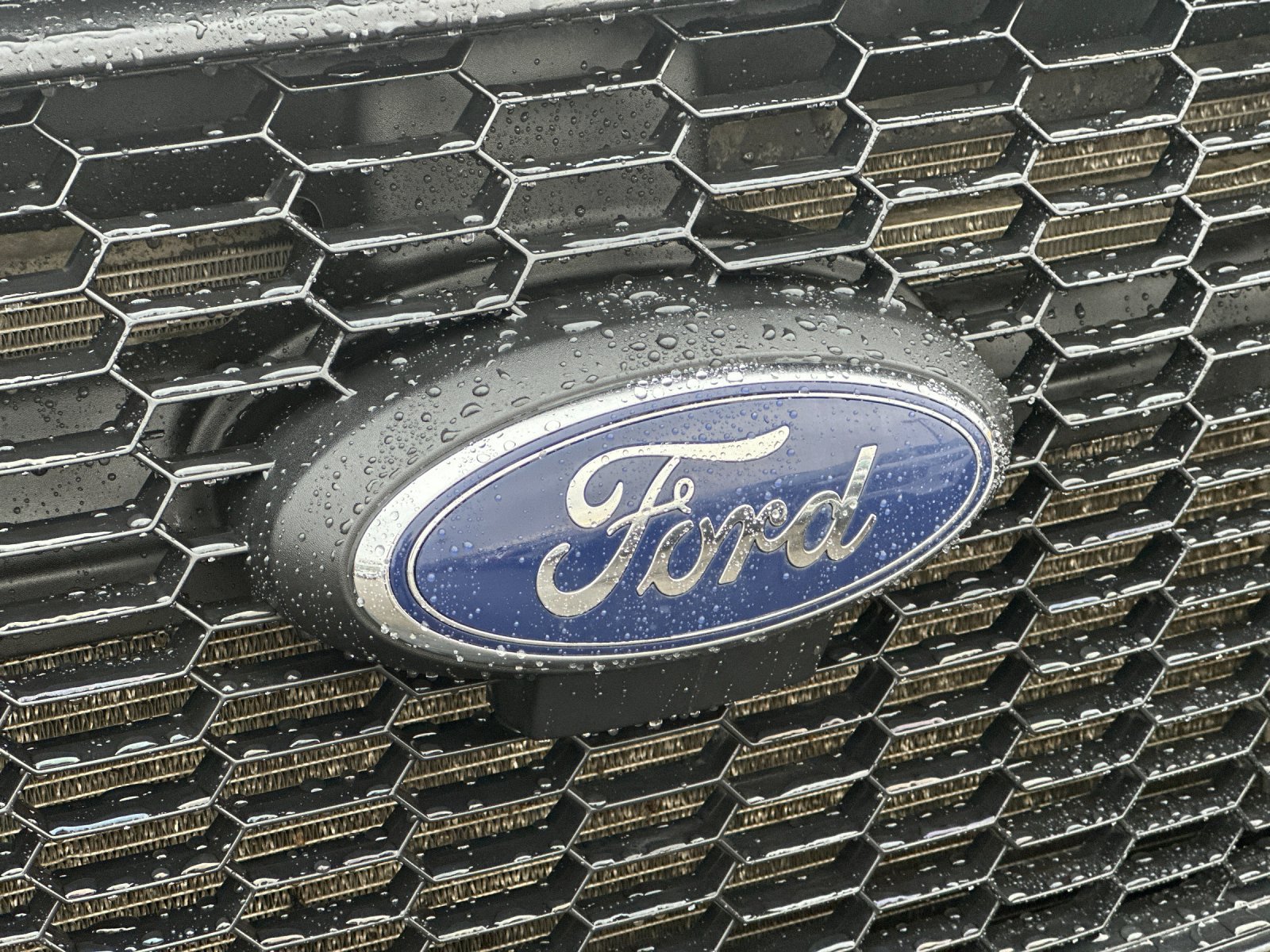 Used 2024 Ford Transit 350 XL AWD/4WD image 36