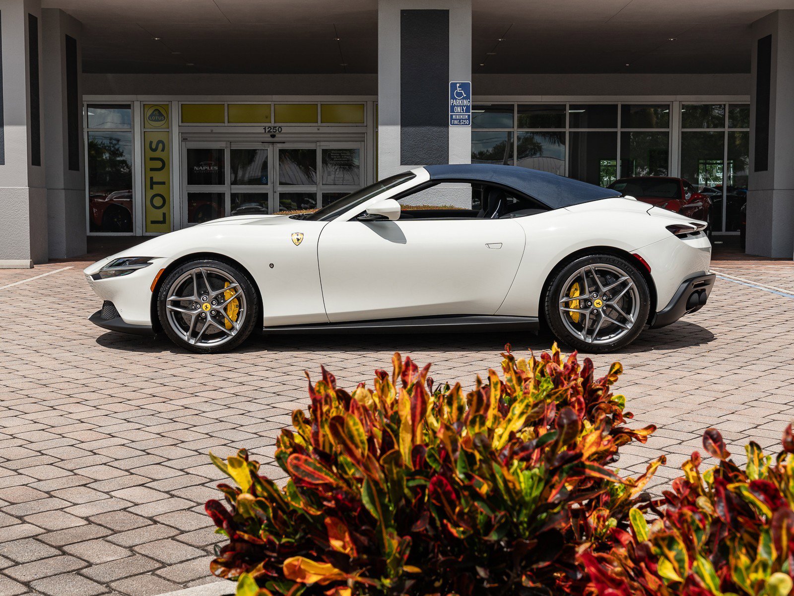 Used 2024 Ferrari Roma Spider image 34