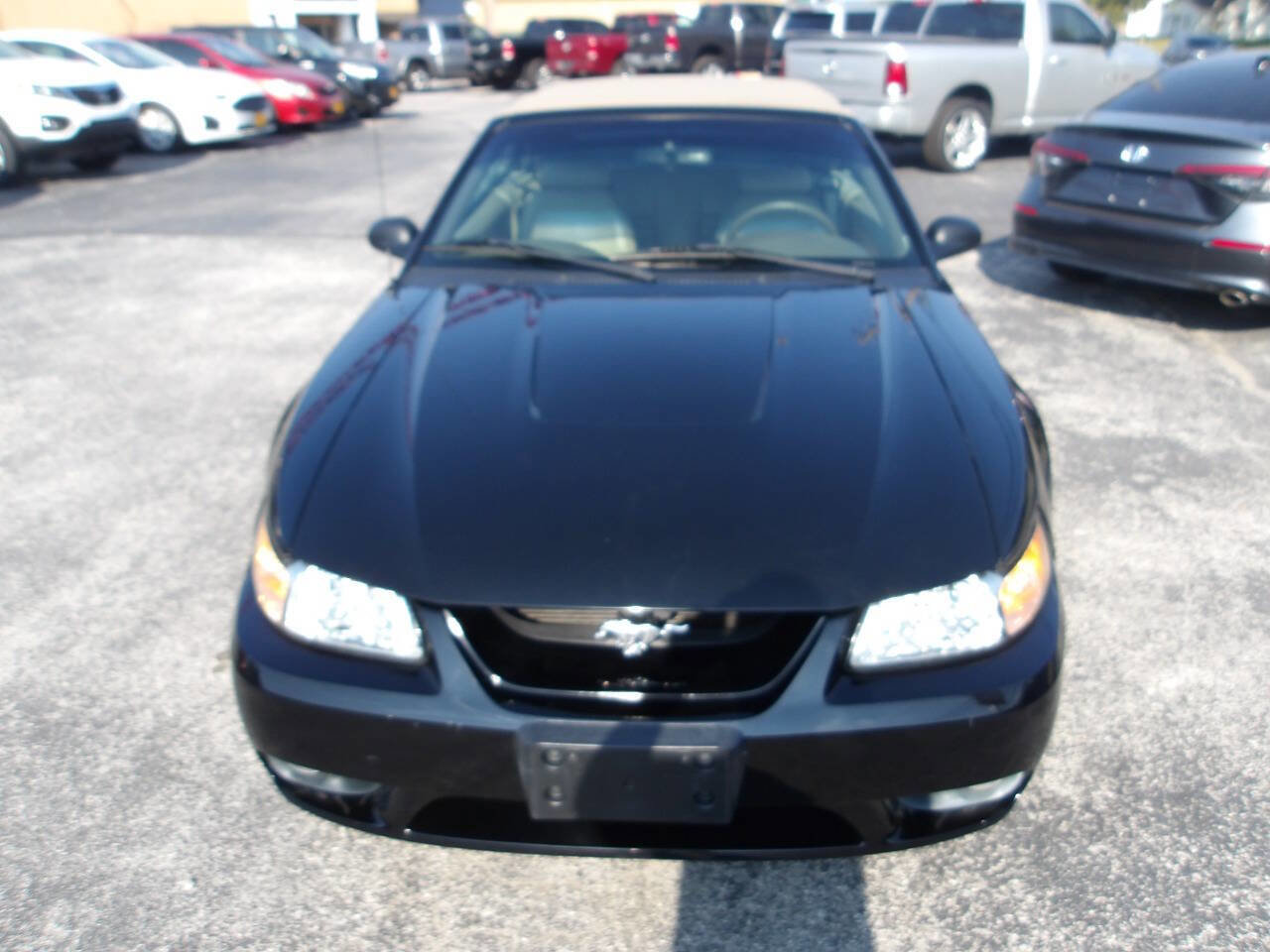 Used 1999 Ford Mustang Cobra image 8