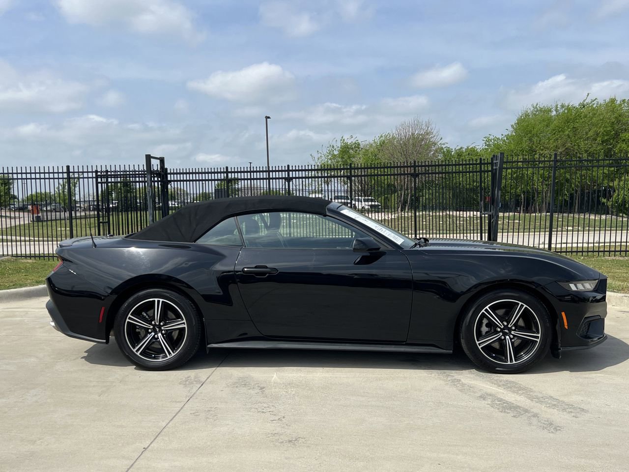 Used 2024 Ford Mustang Premium image 3