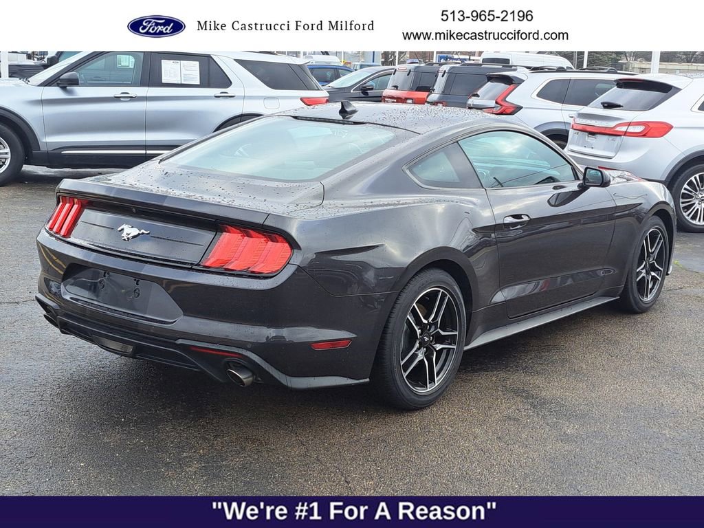 Used 2022 Ford Mustang Coupe w/ Equipment Group 101A image 5