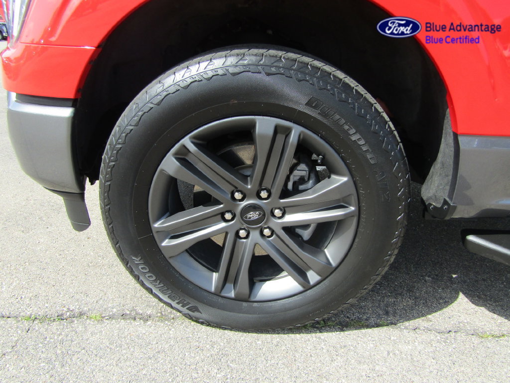 Used 2023 Ford F150 XLT w/ Equipment Group 302A High AWD/4WD image 15