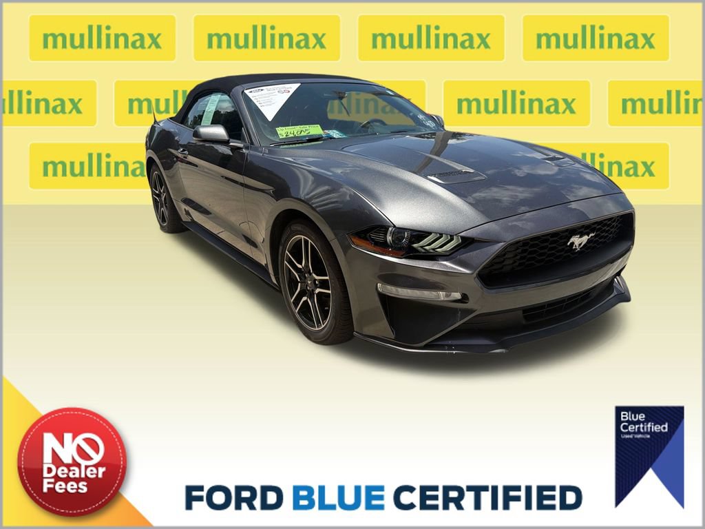 Used 2019 Ford Mustang Premium w/ Equipment Group 201A