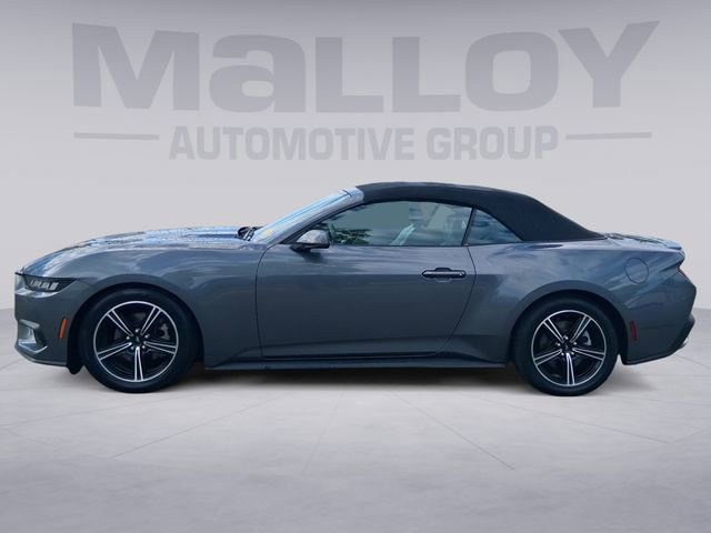 Used 2024 Ford Mustang Premium image 2