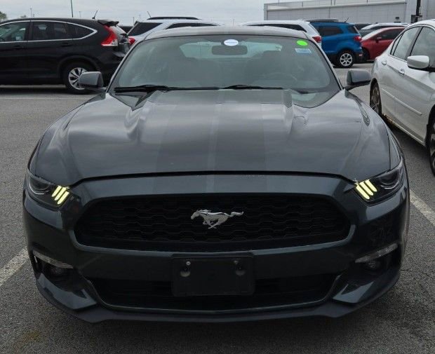 Used 2016 Ford Mustang Coupe w/ Equipment Group 051A RWD image 6