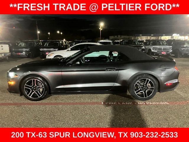 Used 2019 Ford Mustang Premium image 4