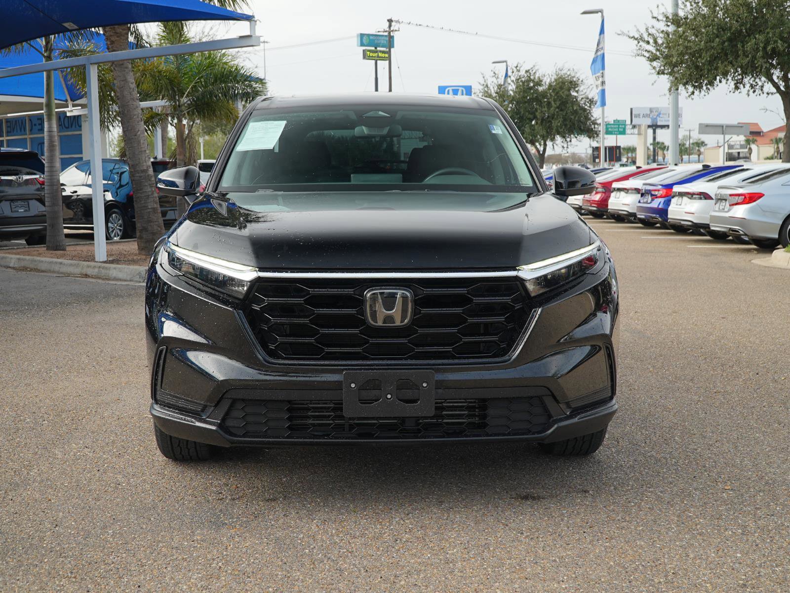 Used 2024 Honda CR-V EX image 2