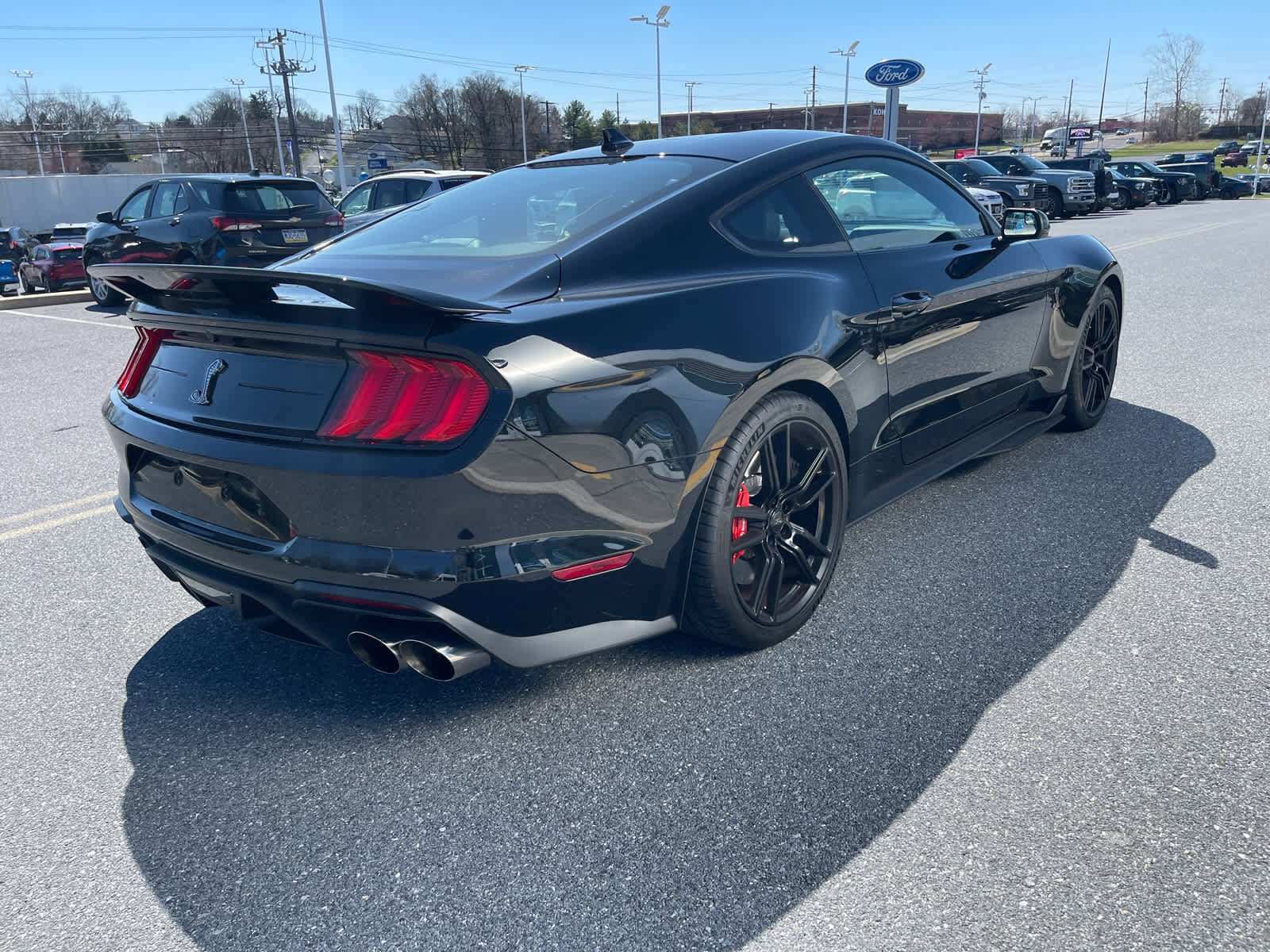 Used 2022 Ford Mustang Shelby GT500 image 5