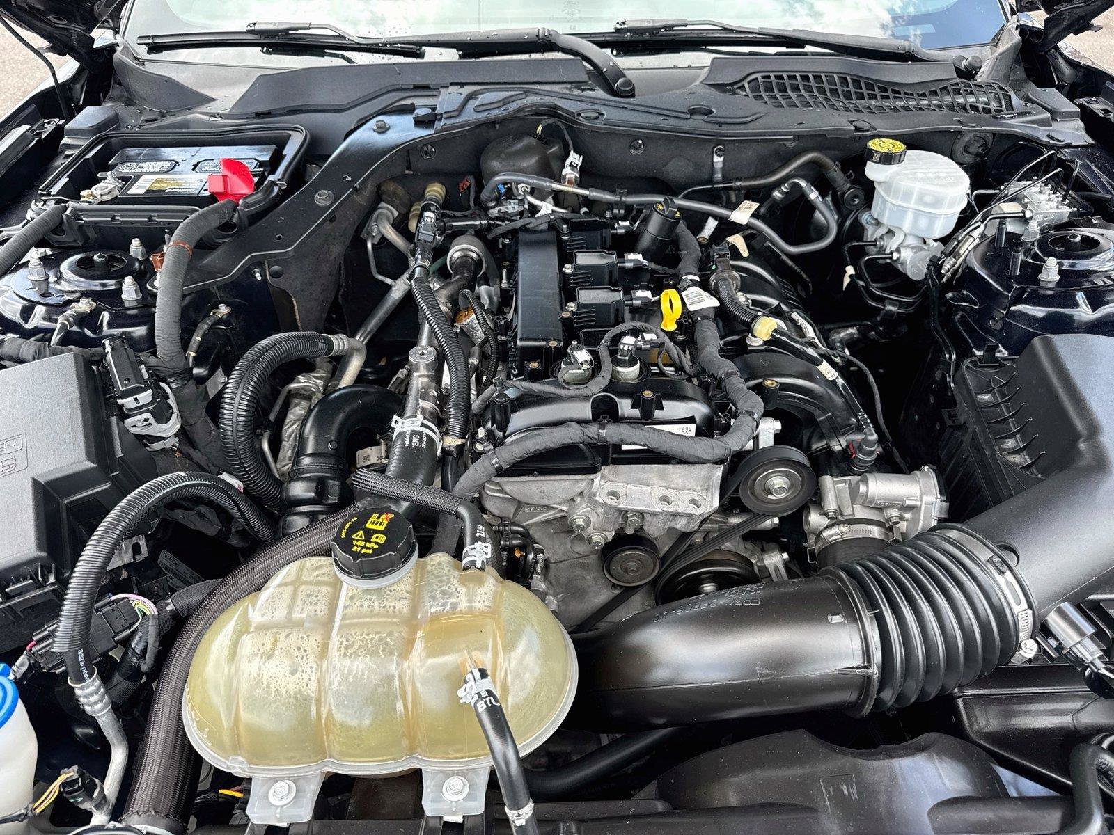 Used 2021 Ford Mustang Coupe RWD image 28