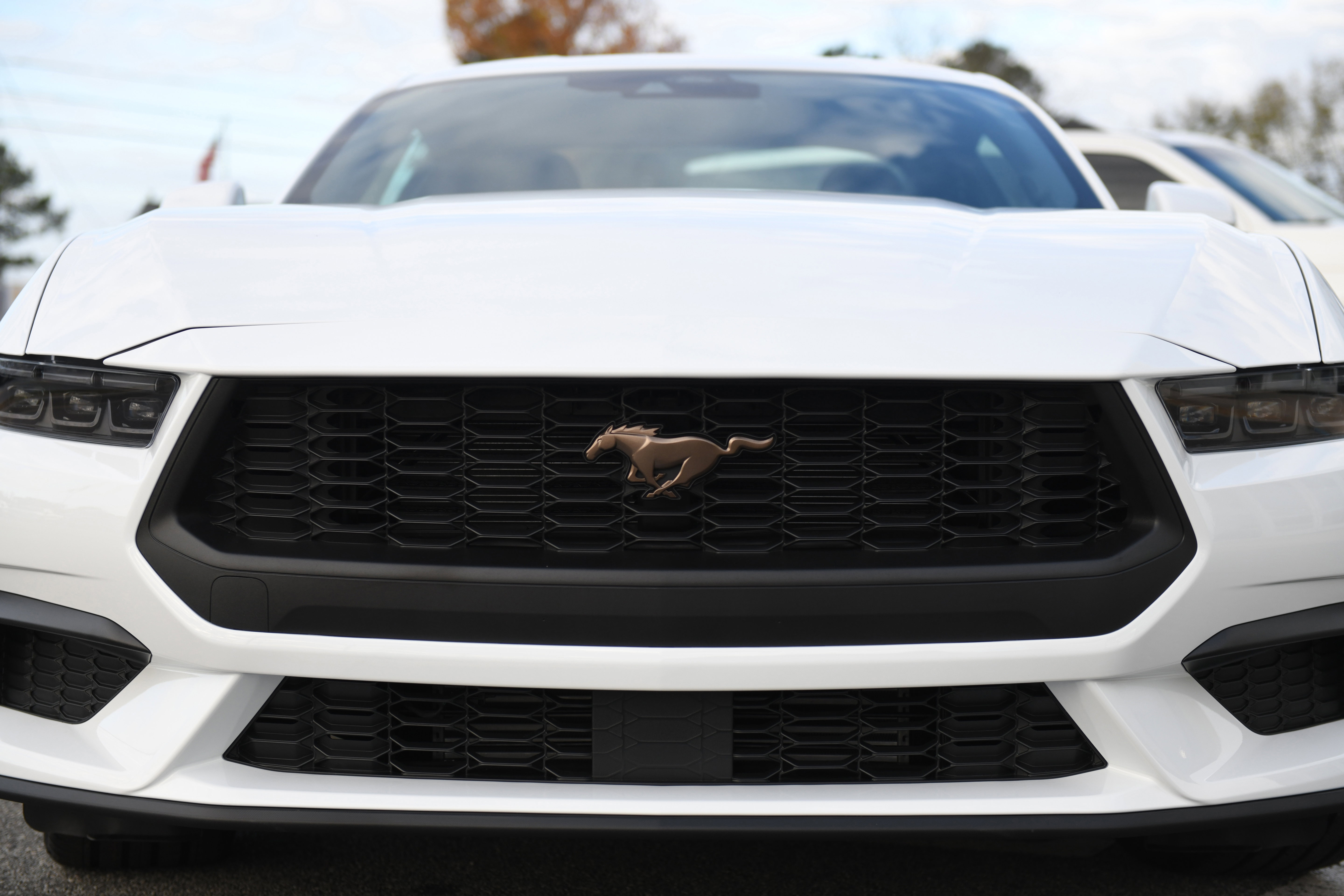 New 2026 Ford Mustang EcoBoost w/ Bronze Appearance Package image 6