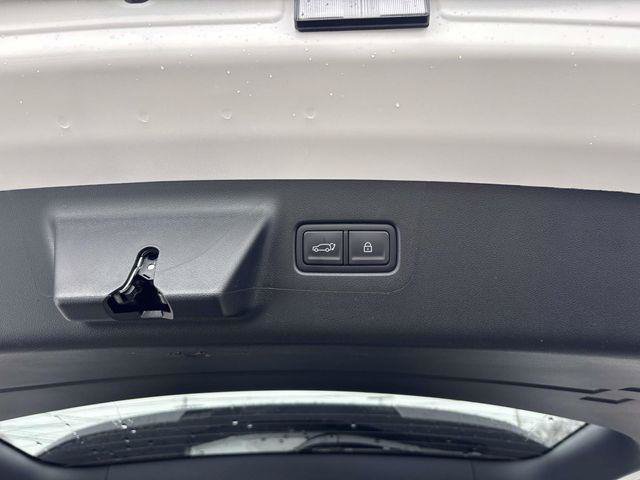 New 2026 Hyundai Santa Fe Calligraphy AWD/4WD image 5