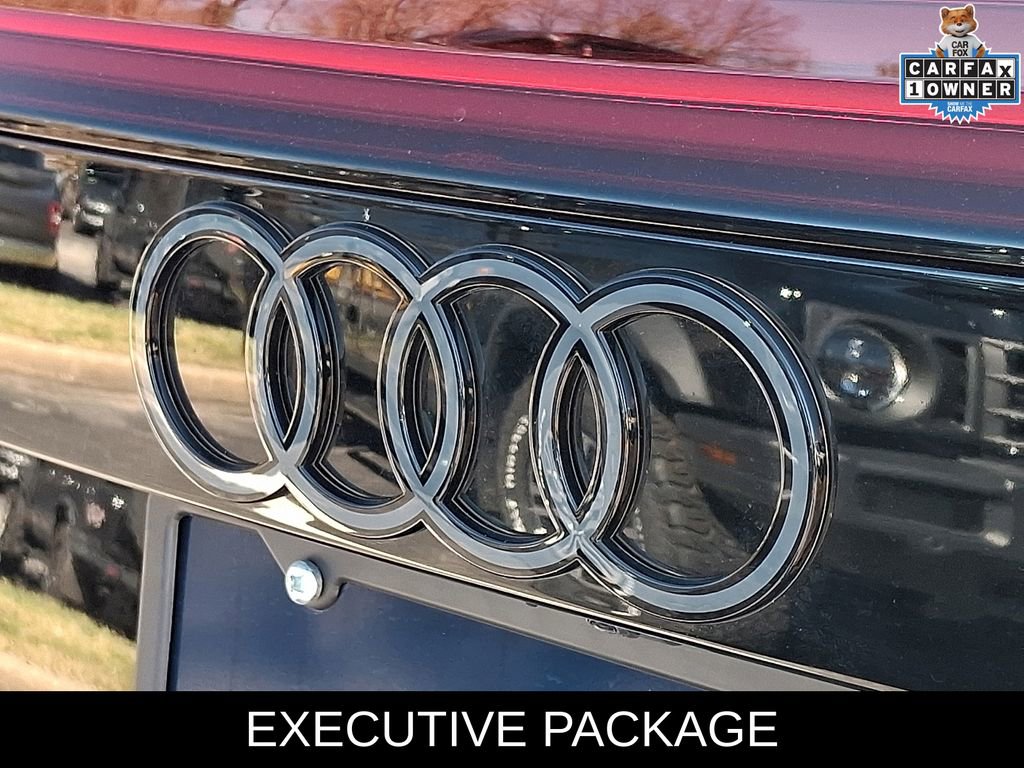 Used 2025 Audi RS Q8 performance image 31