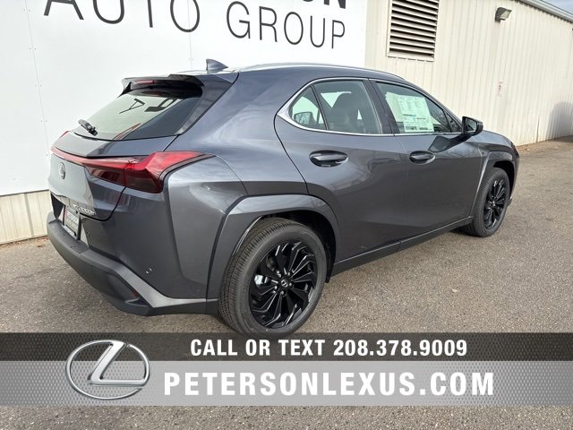 New 2025 Lexus UX 300h AWD image 3