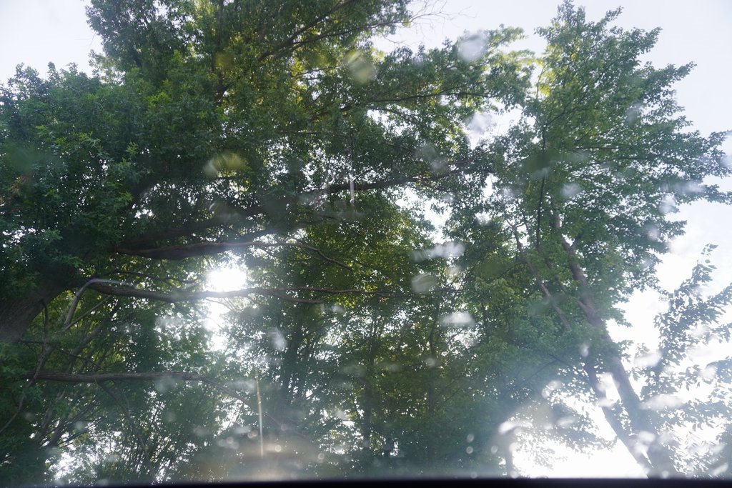 Used 2024 Hyundai Tucson Limited image 37