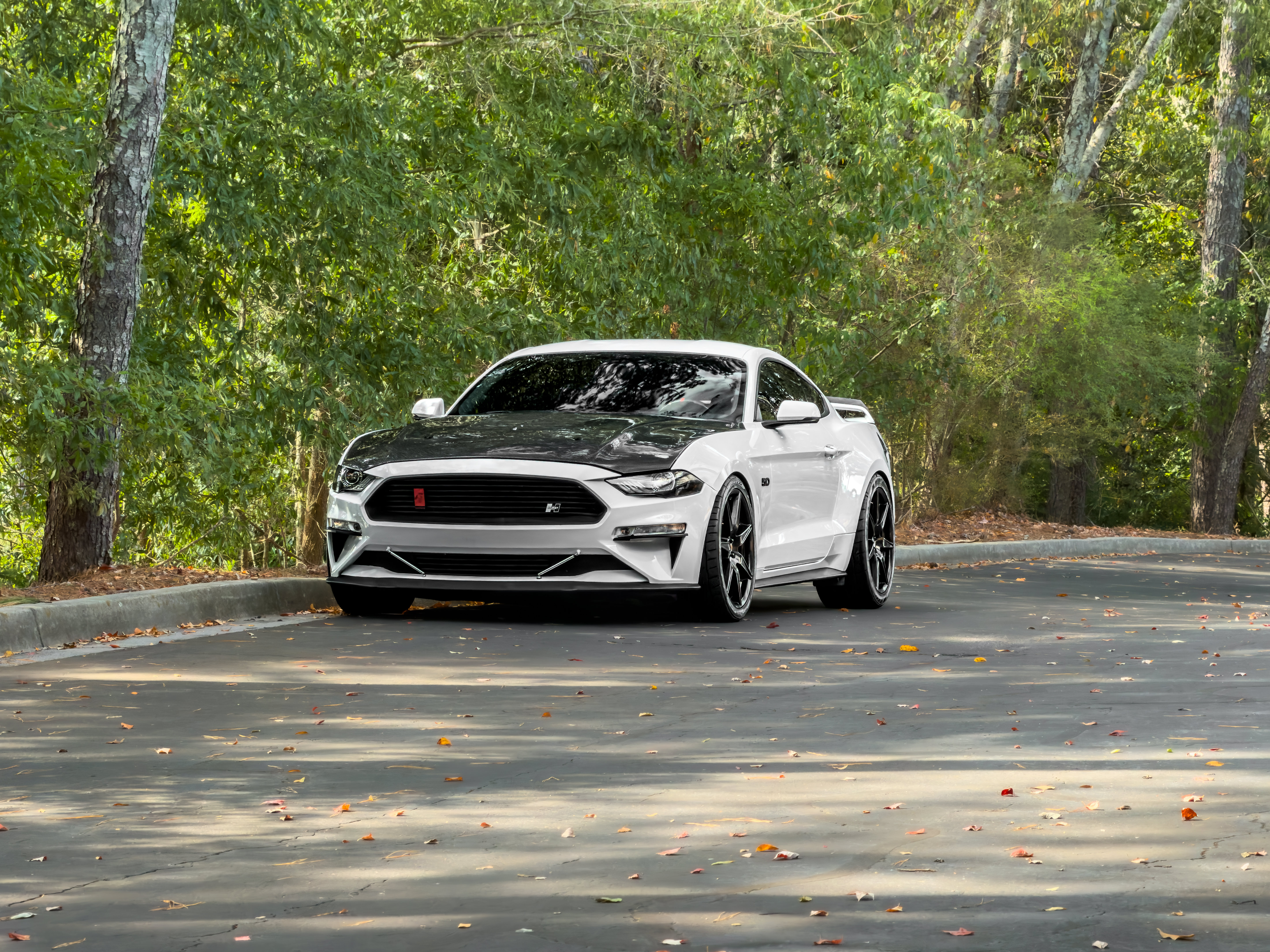 Used 2019 Ford Mustang GT Premium w/ GT Performance Package RWD image 40