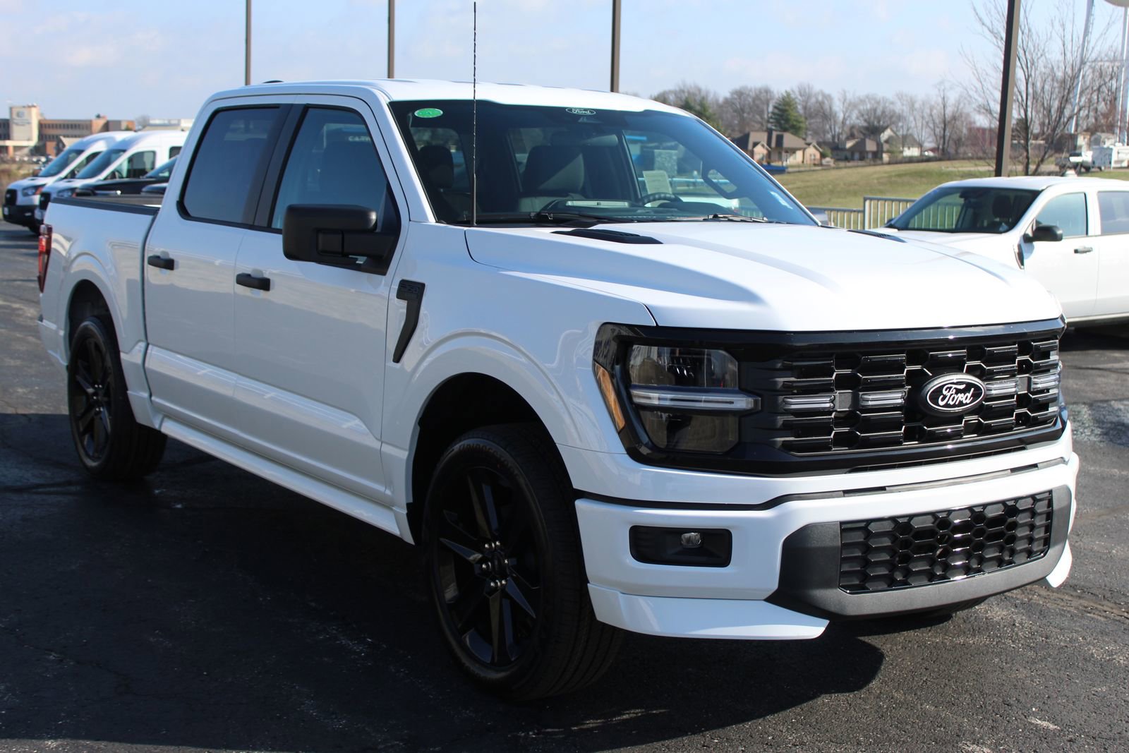 New 2026 Ford F150 STX w/ F-150 LOBO Package image 9