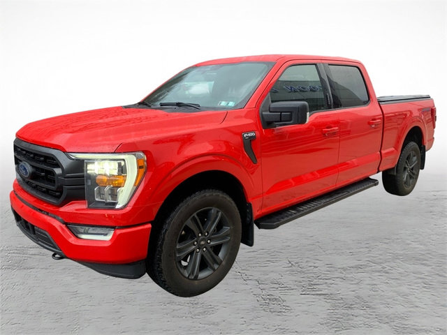 Used 2023 Ford F150 XLT w/ Equipment Group 302A High image 6