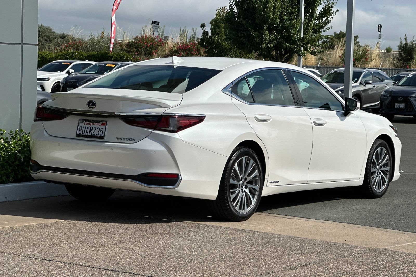Used 2020 Lexus ES 300h w/ Premium Package FWD image 4