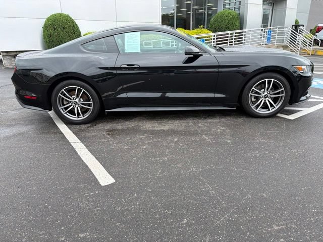 Used 2017 Ford Mustang Premium RWD image 8