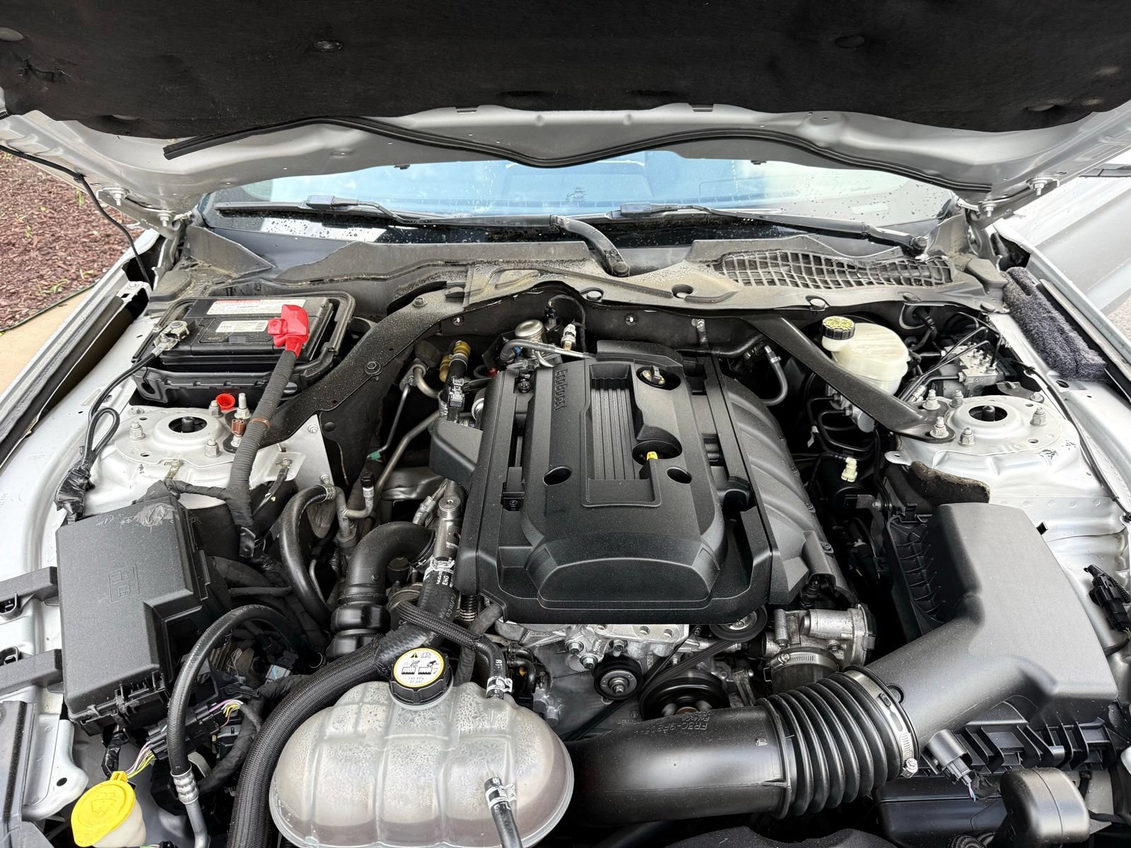 Used 2017 Ford Mustang Premium RWD image 43