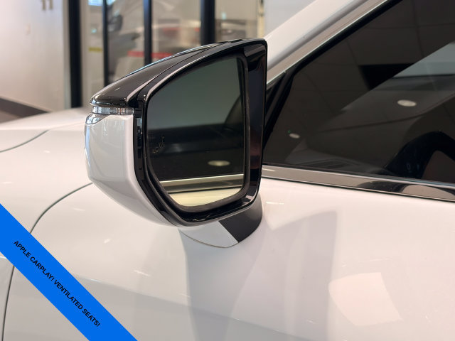 Used 2023 Lexus IS 350 F Sport w/ Memory Package RWD image 8