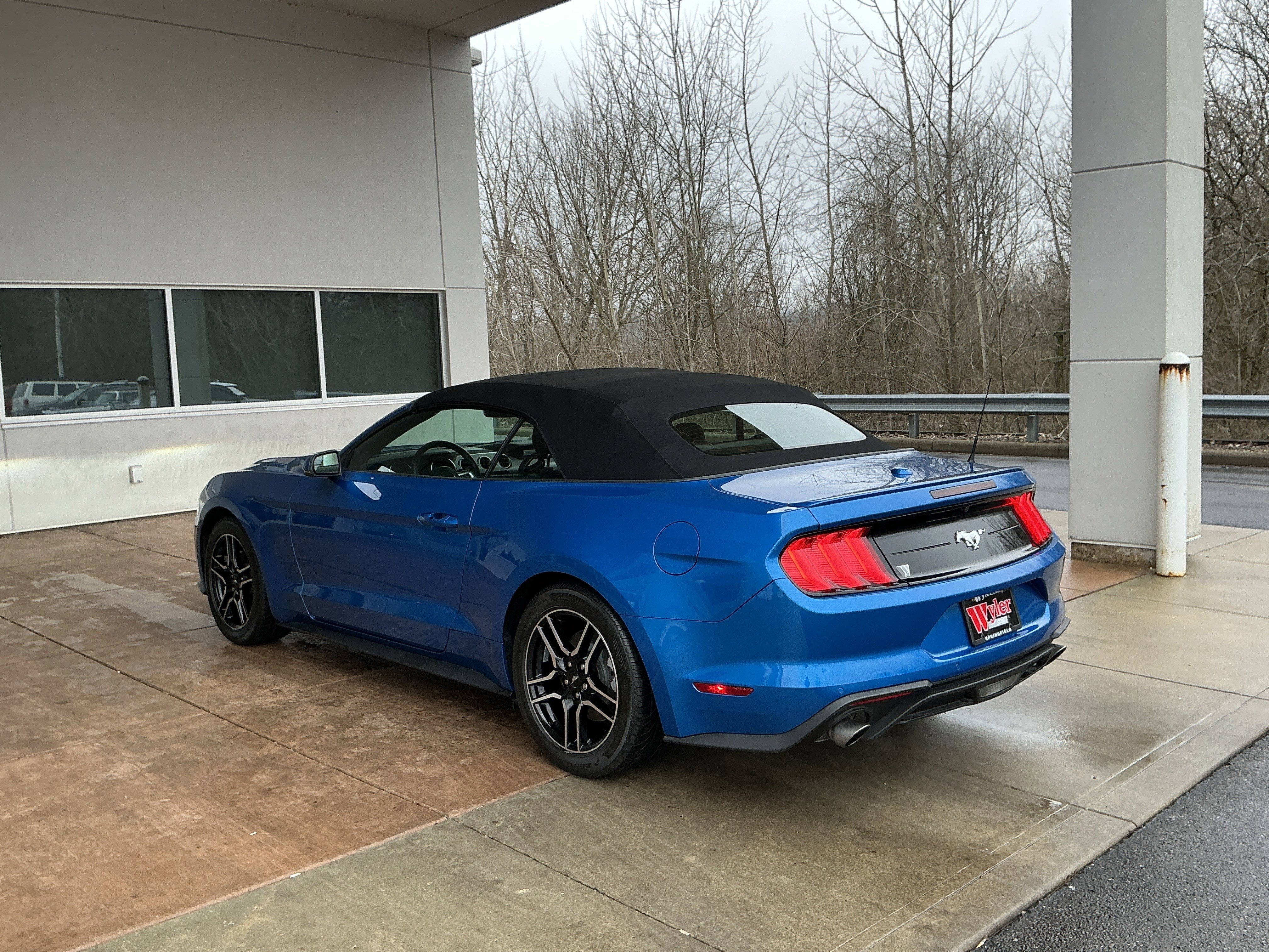 Used 2019 Ford Mustang Premium image 20