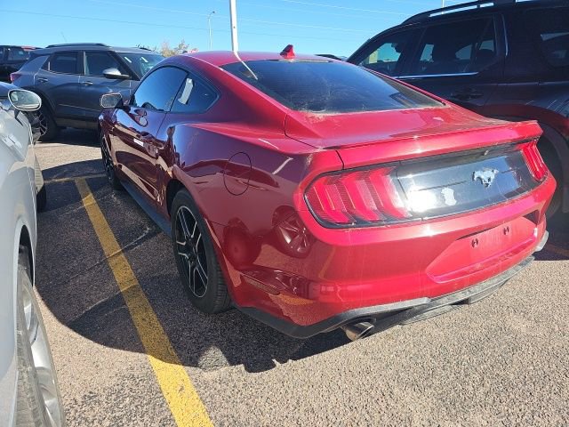 Used 2021 Ford Mustang Premium w/ Equipment Group 201A image 5