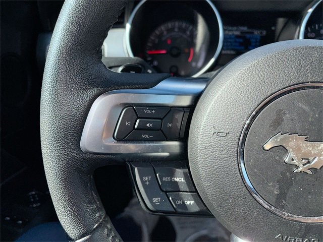 Used 2019 Ford Mustang Coupe w/ Equipment Group 101A image 21