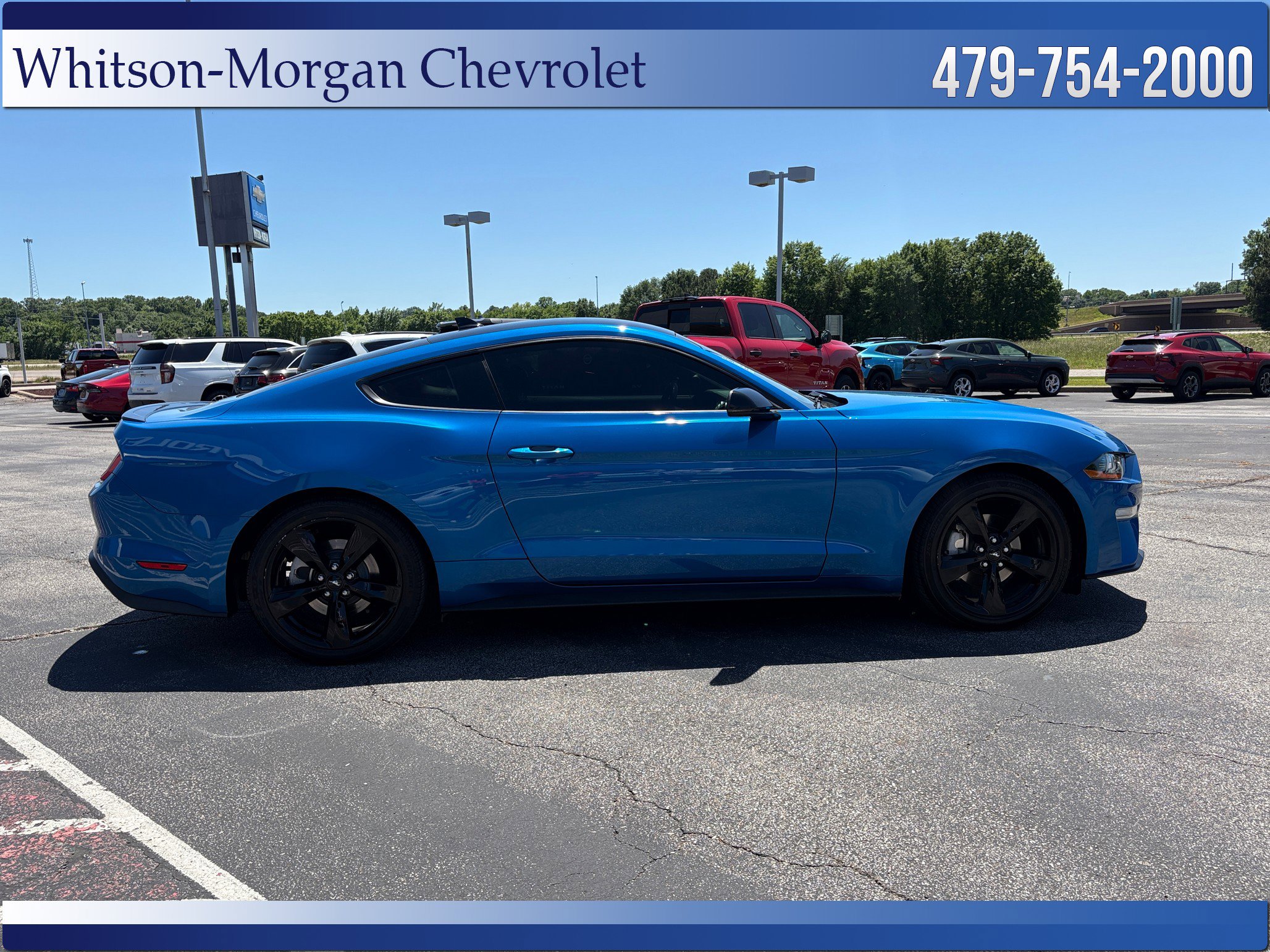 Used 2021 Ford Mustang Premium w/ Equipment Group 201A RWD image 4