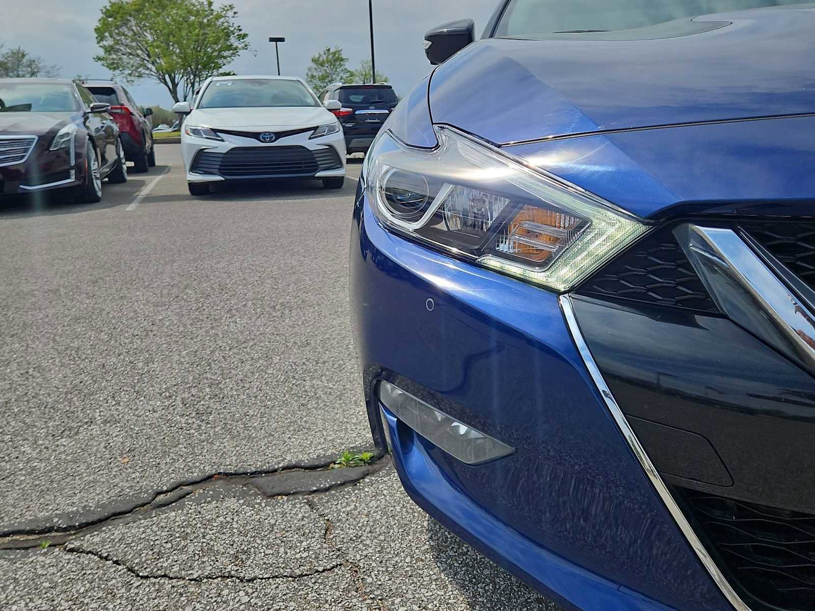 Used 2017 Nissan Maxima Platinum image 11