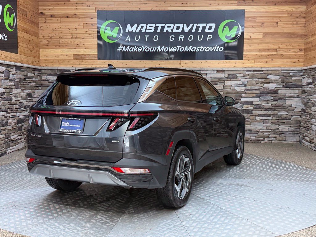 Certified 2023 Hyundai Tucson Limited w/ Cargo Package AWD/4WD image 23