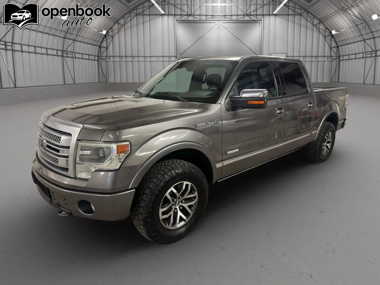 Used 2014 Ford F150 Platinum image 1