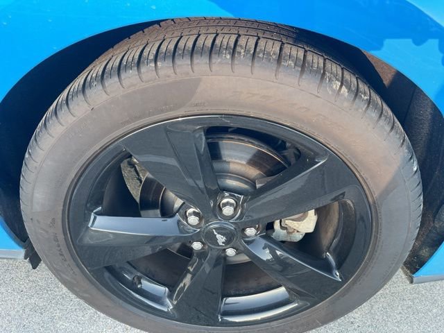 Used 2023 Ford Mustang GT Premium w/ Mustang Nite Pony Package image 12