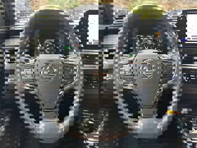 Used 2023 Lexus UX 250h AWD w/ Premium Package image 8