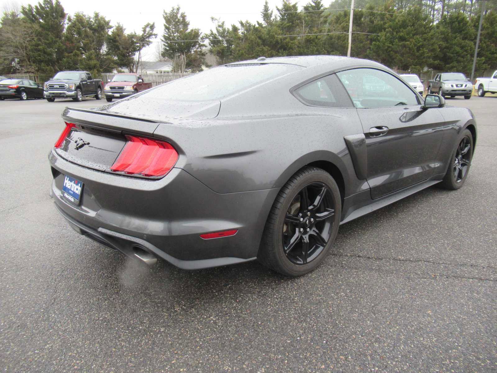 Used 2018 Ford Mustang EcoBoost w/ Equipment Group 101A image 5